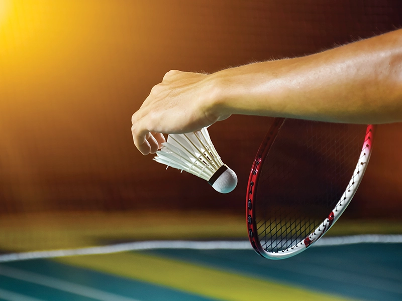 Indoor sports court at Purva Estrella Lokhandwala Andheri West